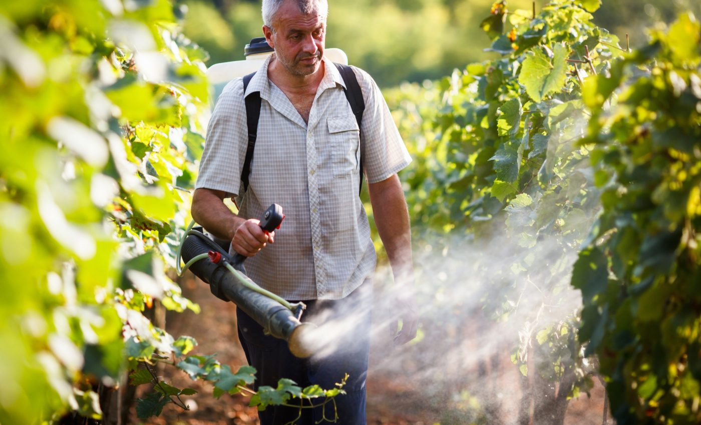 How crop protection is fueling the global decline of insects