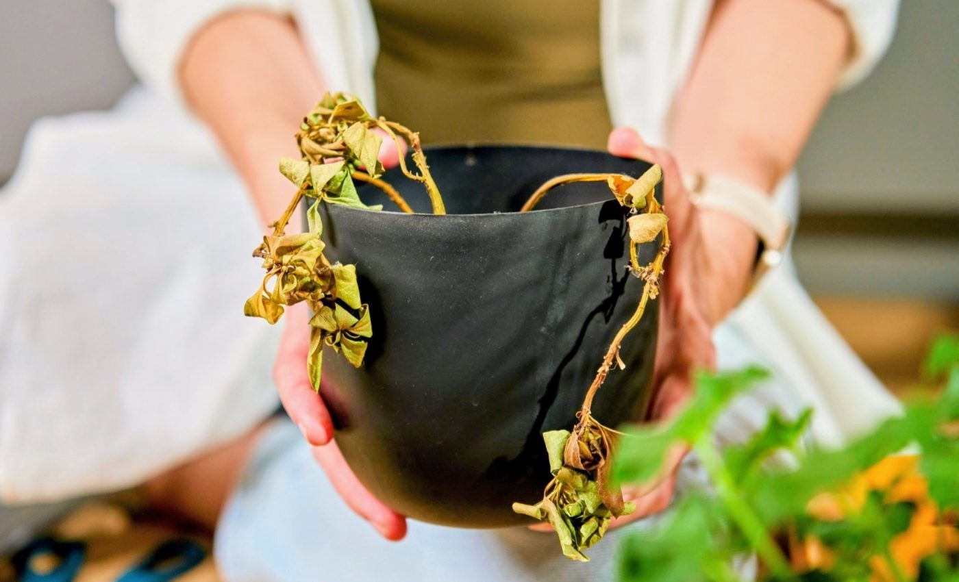 Not all plants handle water the same - here’s why it matters