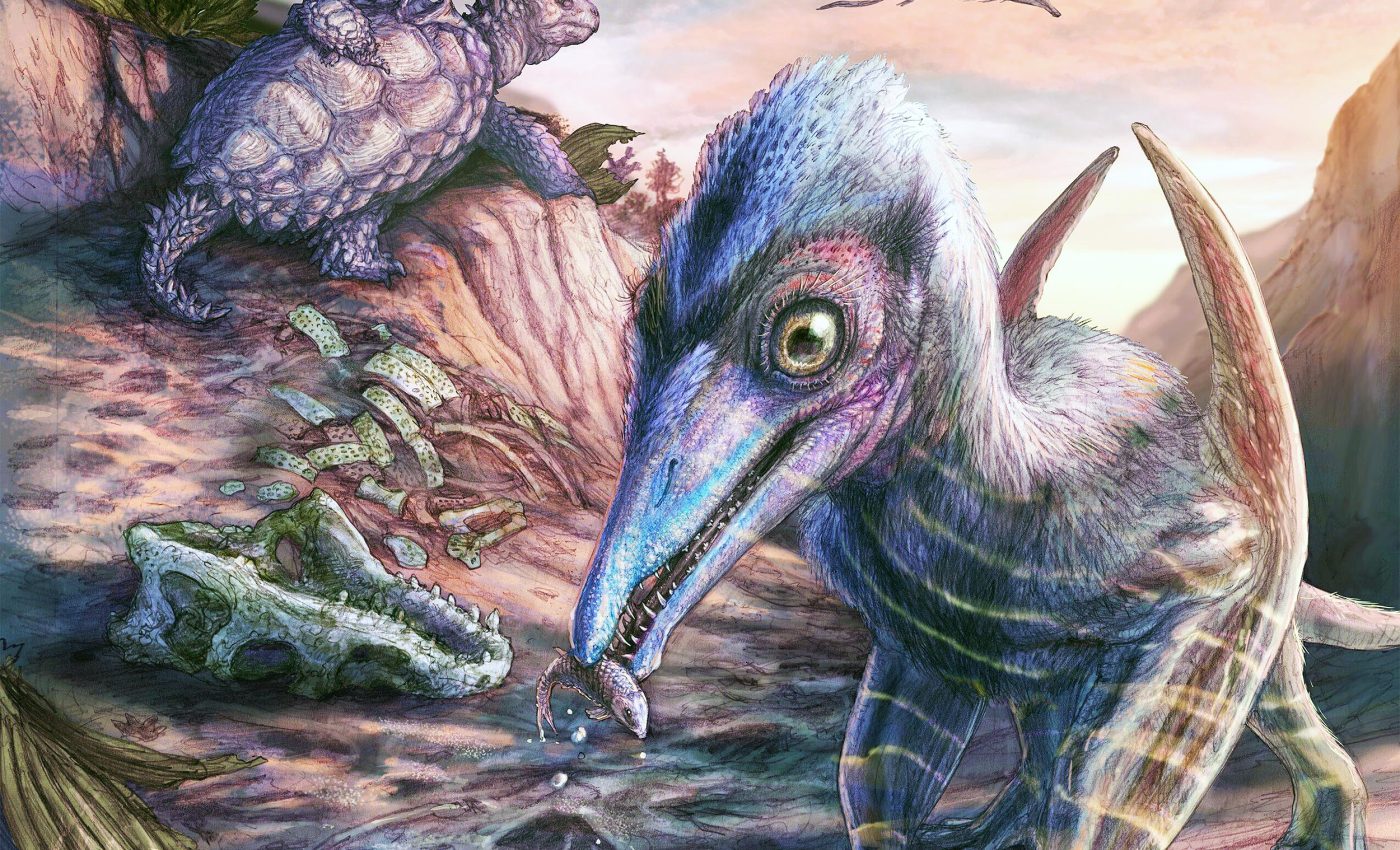 North America's oldest known pterosaur discovered in a petrified forest