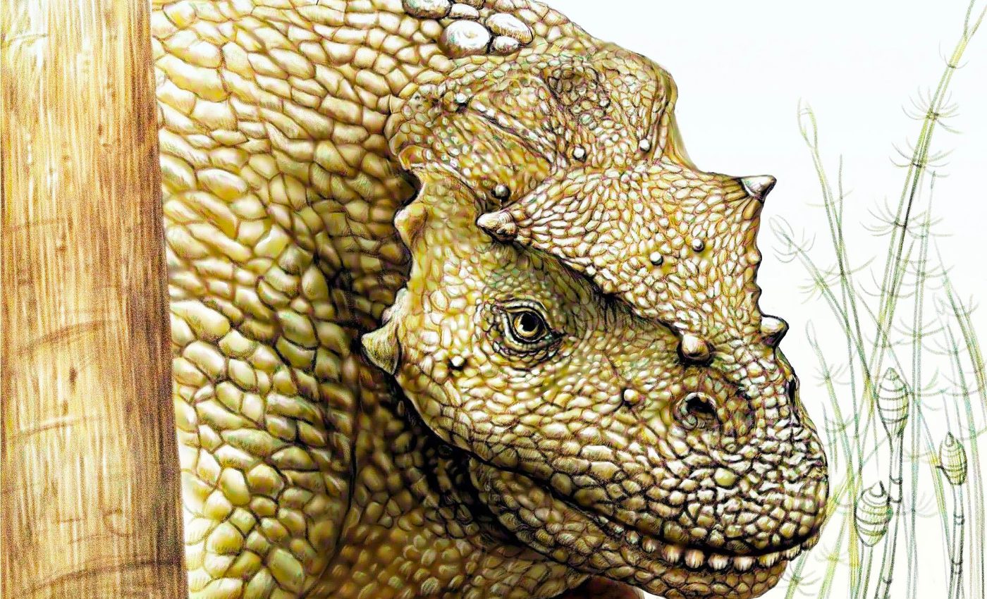 Scientists discover a prehistoric animal that lived on Earth 259 million years ago