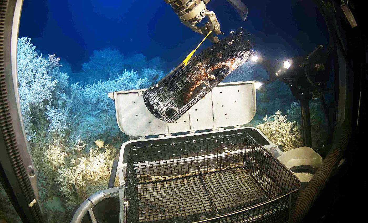 Scientists report an unexpected accumulation of radioactive material in the ocean