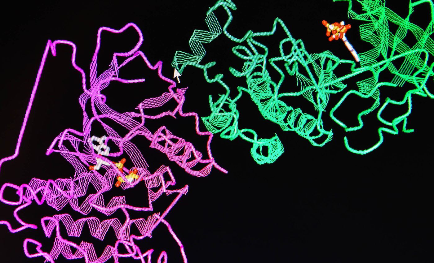 'Superfamily' of bacterial predator proteins is changing scientific theory