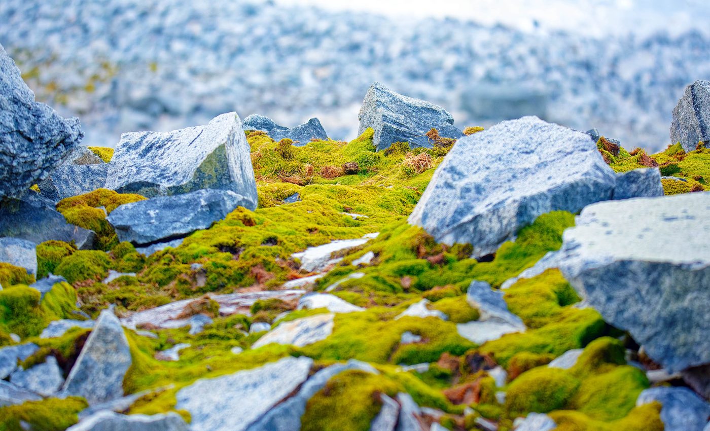 Vast river landscapes discovered beneath Antarctica's thick ice sheet