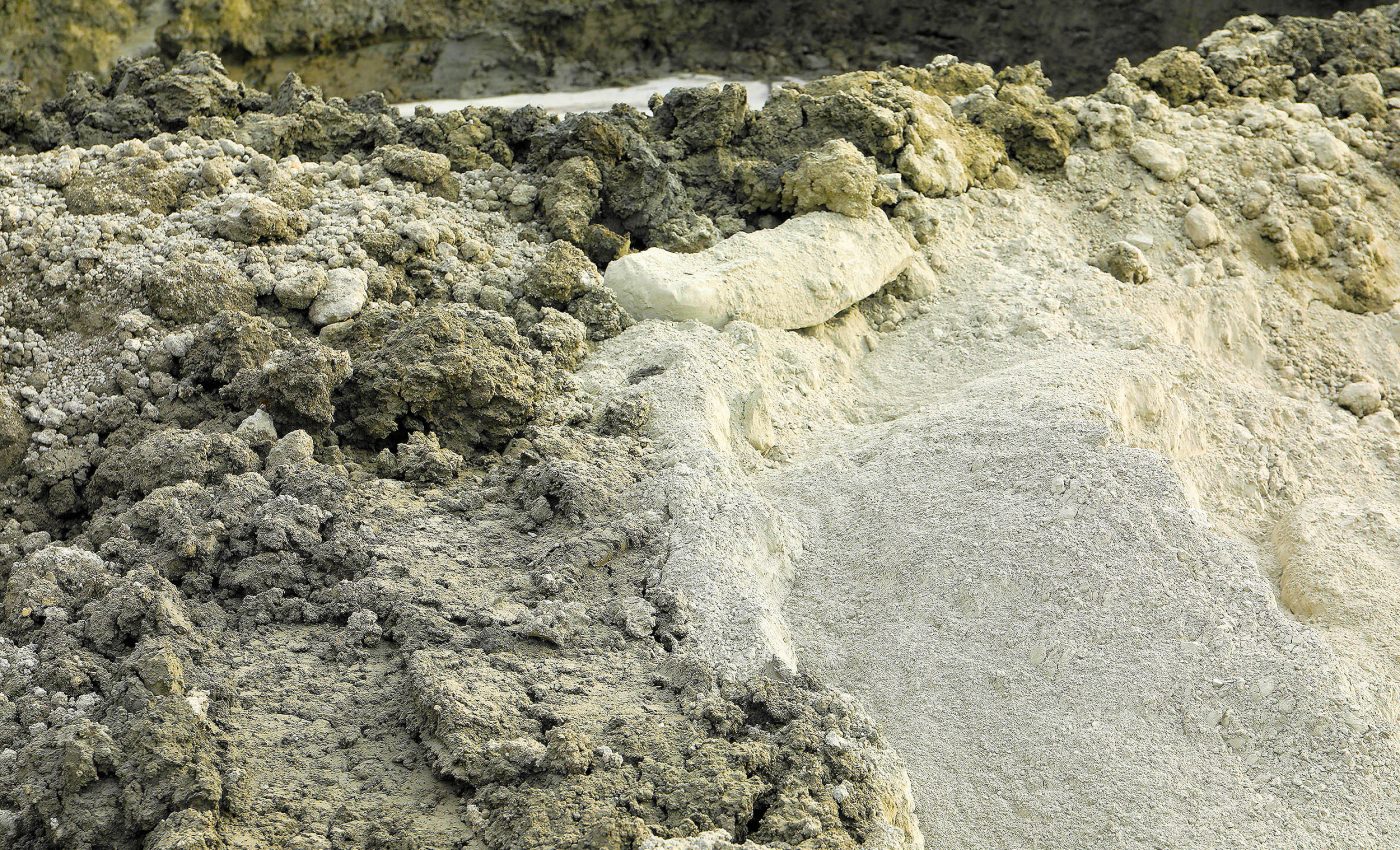 Bacteria discovered that turns CO2 gas into stone, which could then be used for buildings