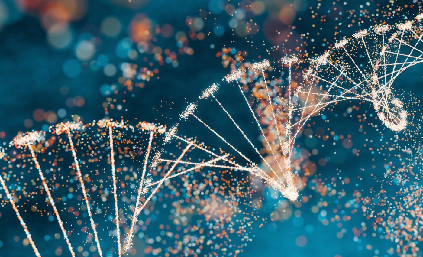 'Junk DNA' is not actually junk, it's found to play a powerful role in the human body