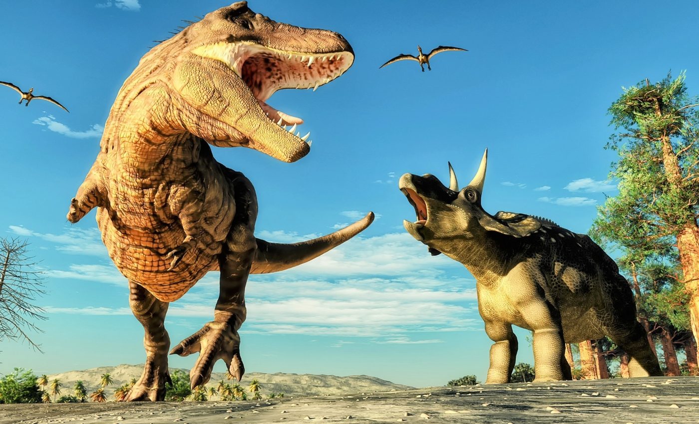 Fossil suggests early dinosaurs were larger than we thought