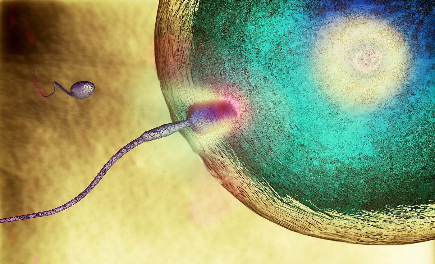 Scientists learn how sperm manage to defy a major law of physics