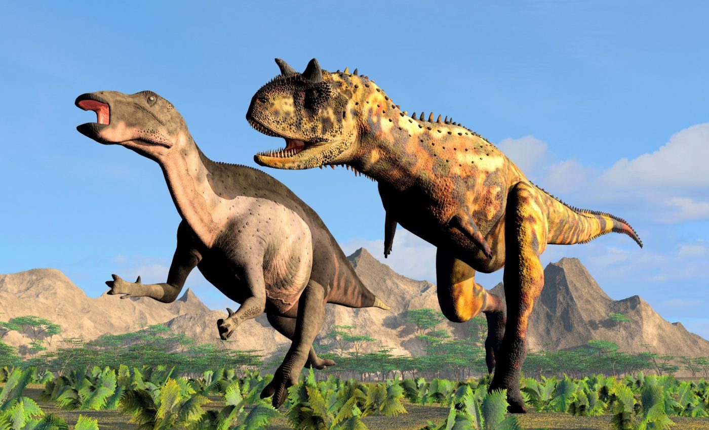 Jurassic dinosaurs had specialized diets to coexist peacefully