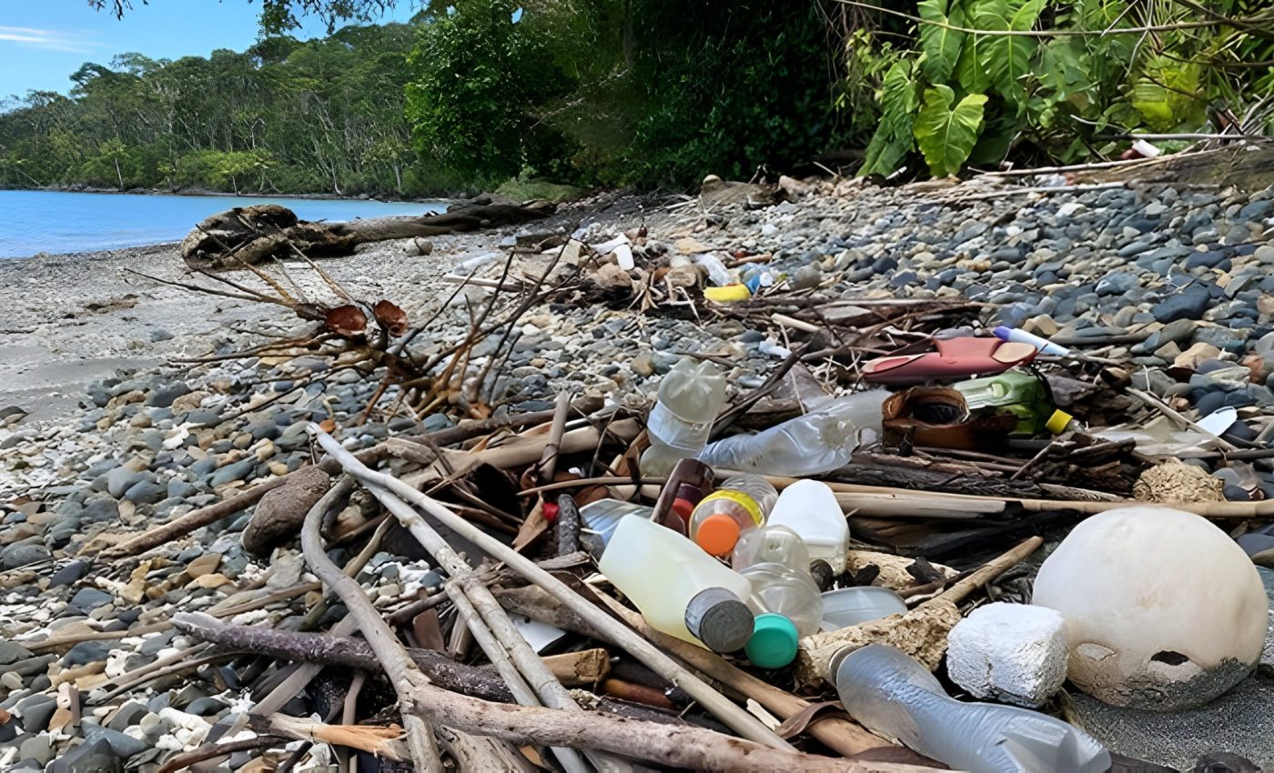 Plastic bottles reveal the companies behind a Pacific litter crisis