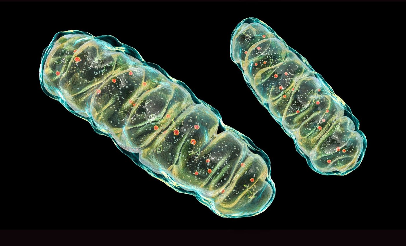 Scientists may have just solved the mystery of sleep