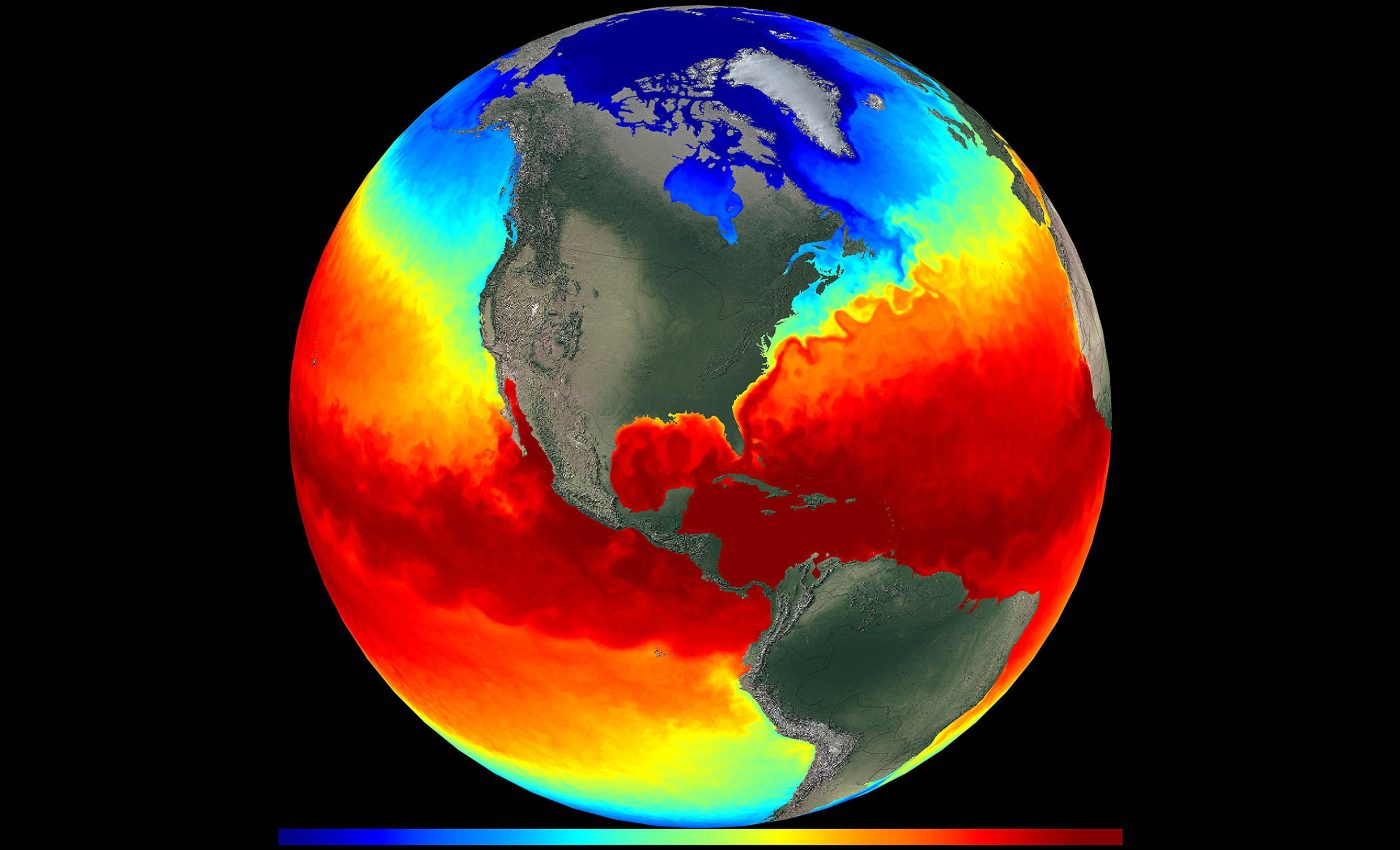 Marine heatwaves offer a disturbing preview of how warmer waters impact ocean life