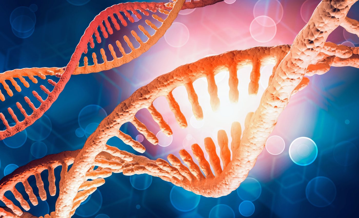 Humans carry hidden hibernation genes that could treat diseases