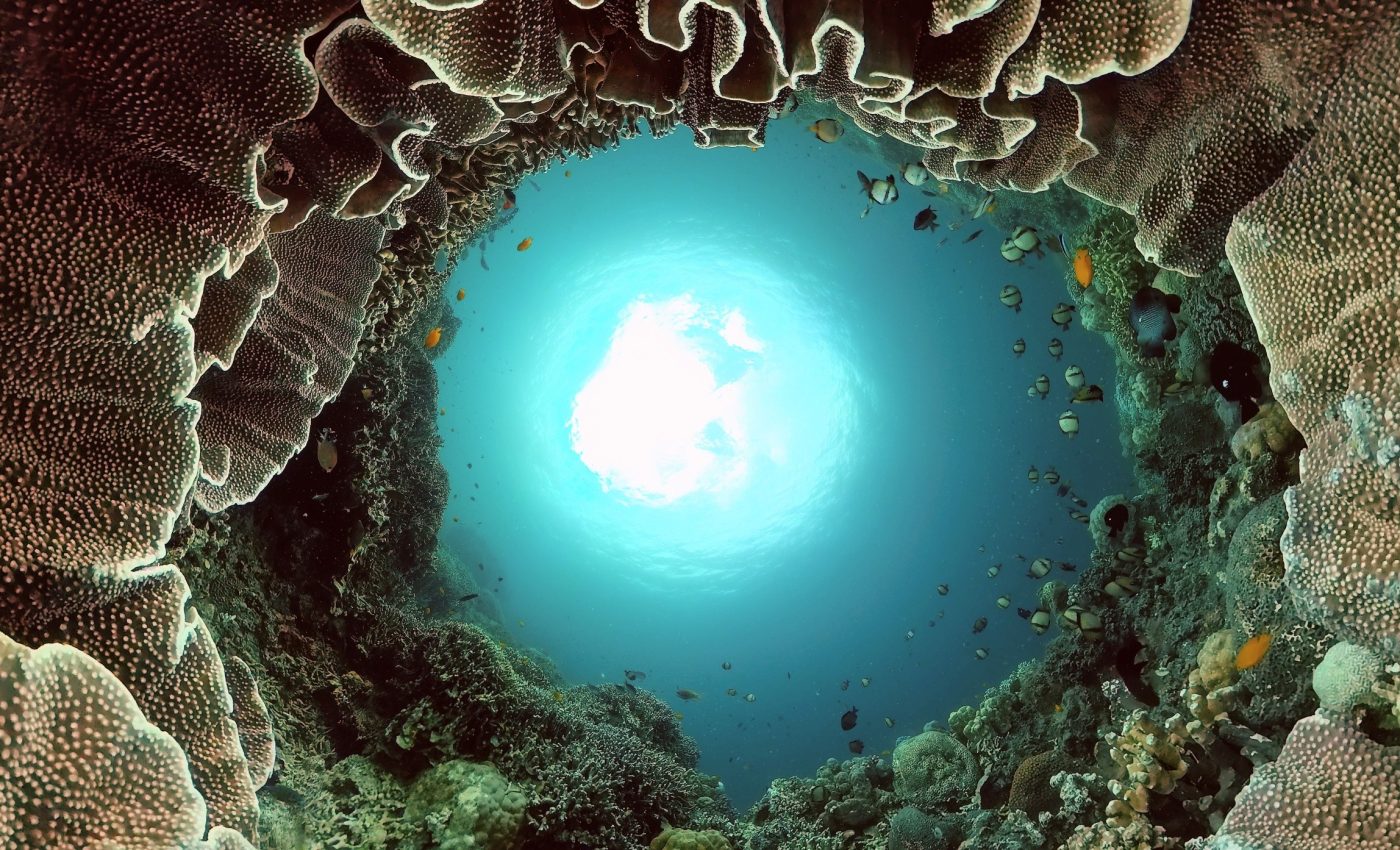 Marine Protected Areas Day: Ocean protection needs human connection