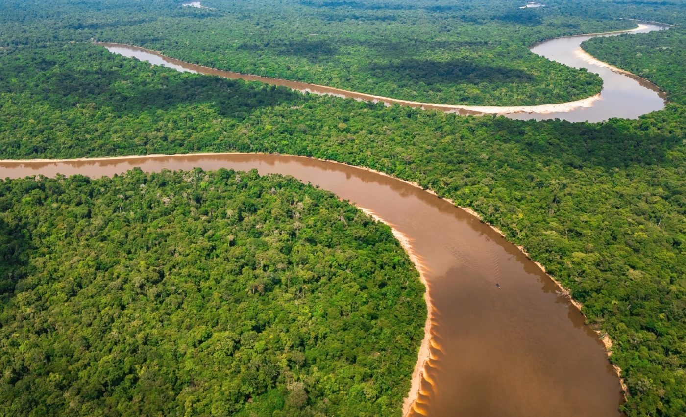 Drones revolutionize animal counting and conservation efforts