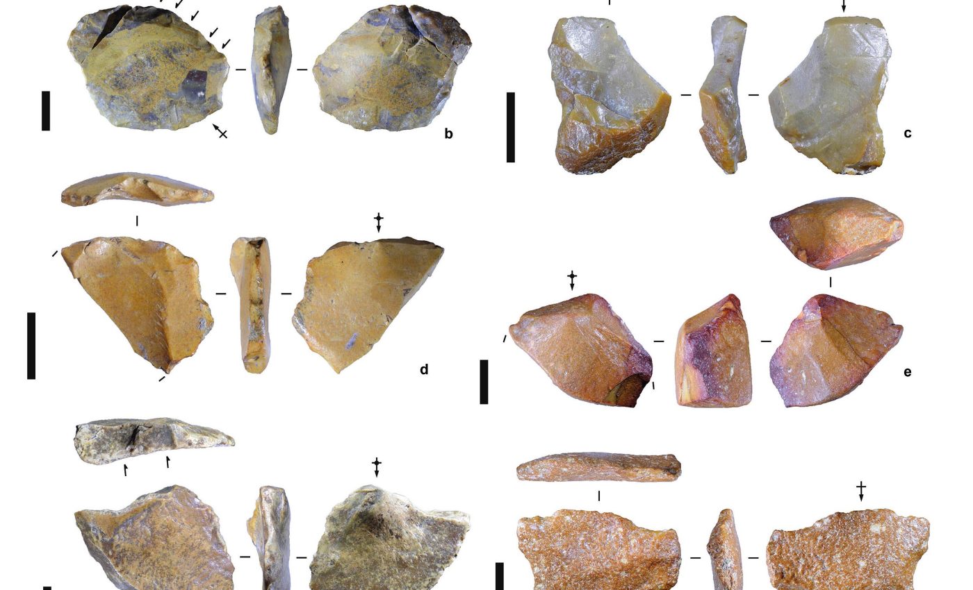Stone tools over 1 million years old were made by an unknown human ancestor