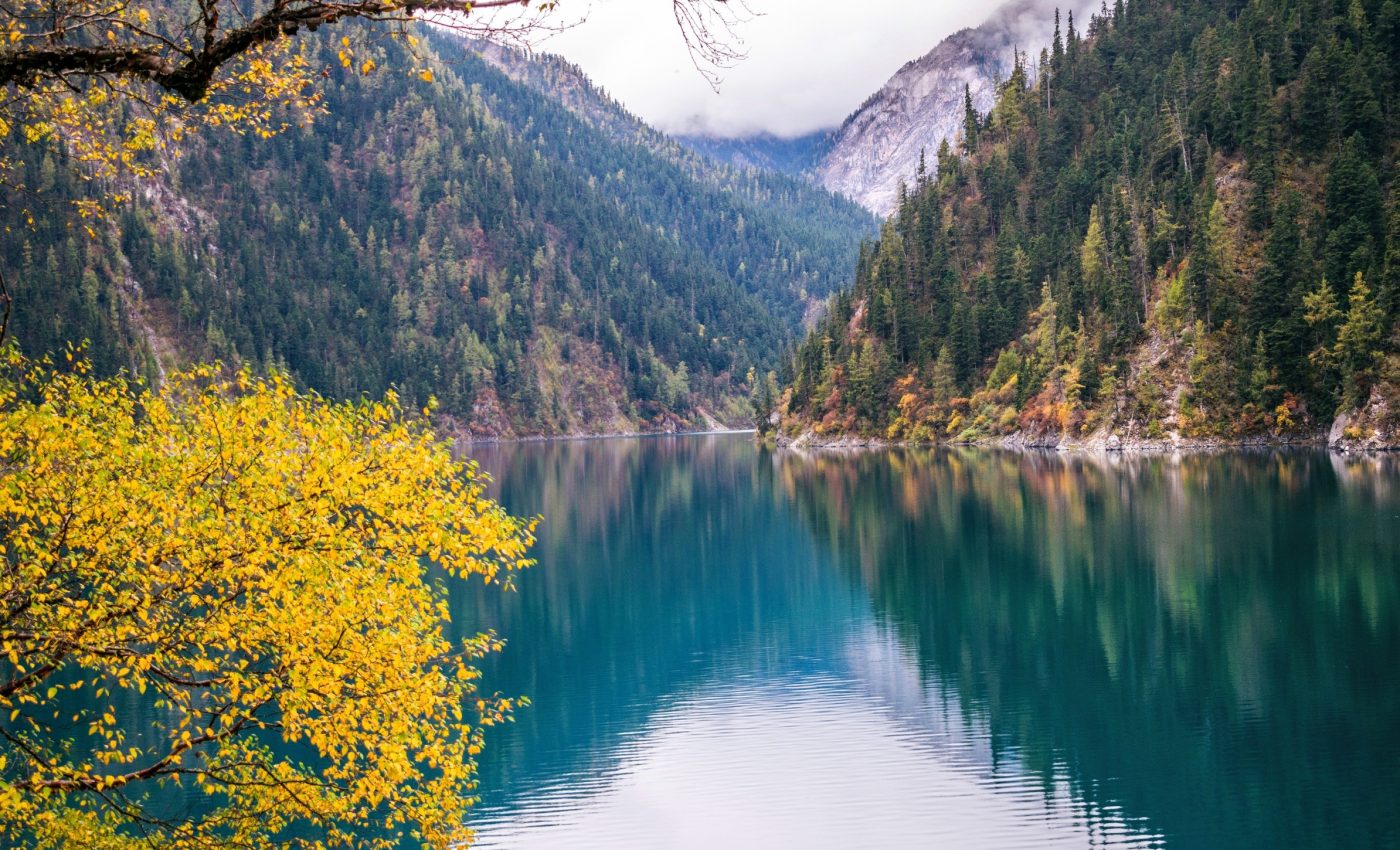 How earthquakes move mountains - and what comes next