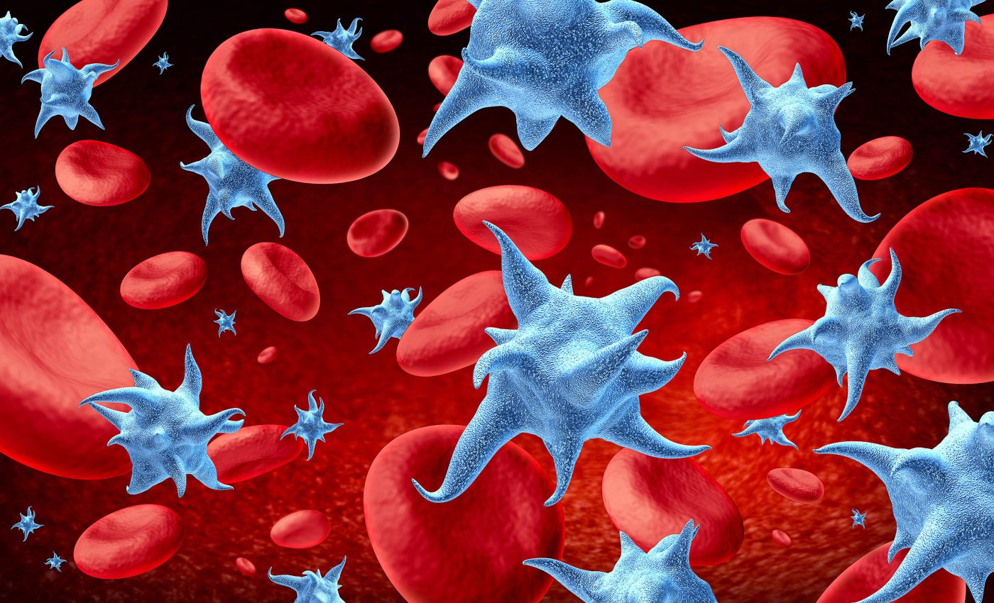 Blood platelets play a critically important role in the body that was unknown until now