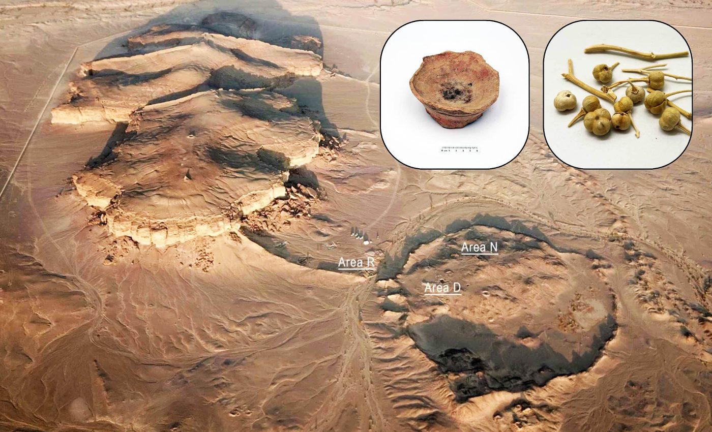 People were getting high and hallucinating from smoking this psychoactive plant 2,700 years ago