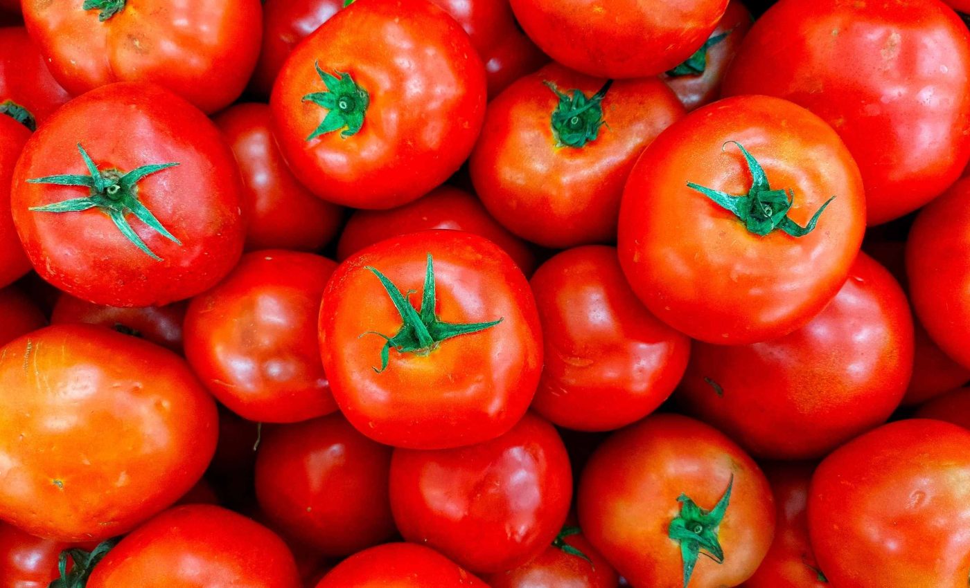 The Italian secret to sweeter tomatoes and higher-yield plants that produce more fruits
