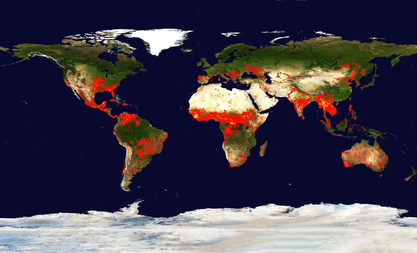 "Wildfire paradox" tries to explain why fires are raging across the entire planet