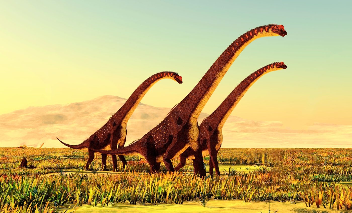 Giraffatitan's tail contributed to its stability and locomotion