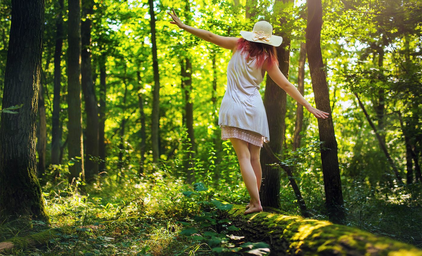 Walking through a forest can reshape who you are and bring inner peace, according to science