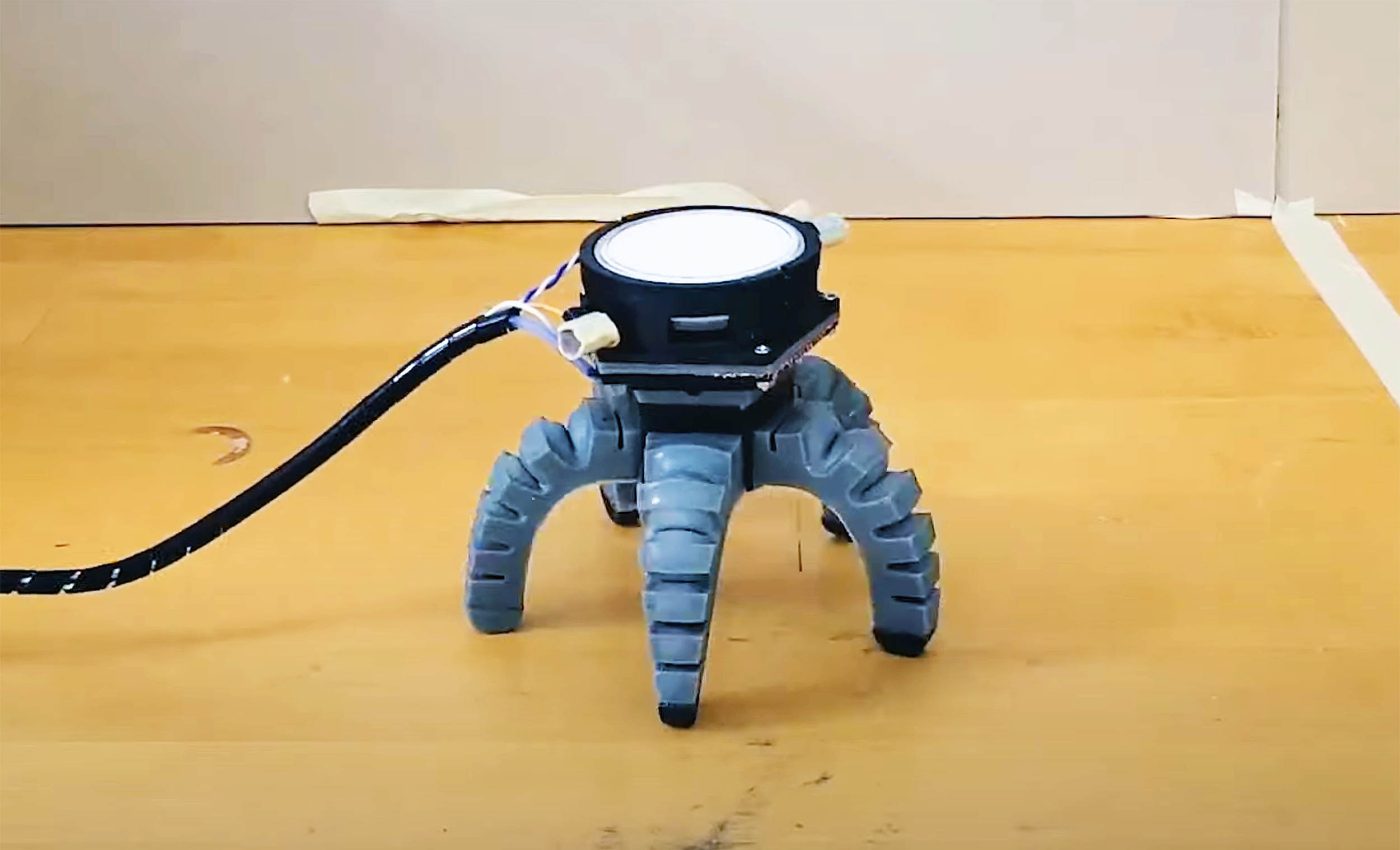 Scientists attached a mushroom to a "biohybrid robot body" and the results were amazing