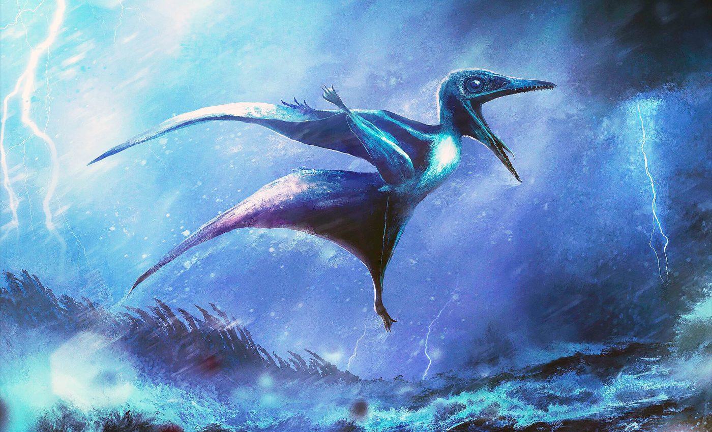 Very rare baby pterosaur fossils tell the sad story of how they died 150 million years ago