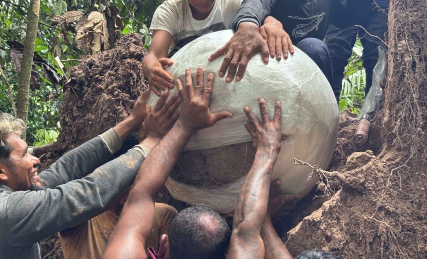 Unusual artifacts found under a tree in the Amazon rainforest surprised archaeologists