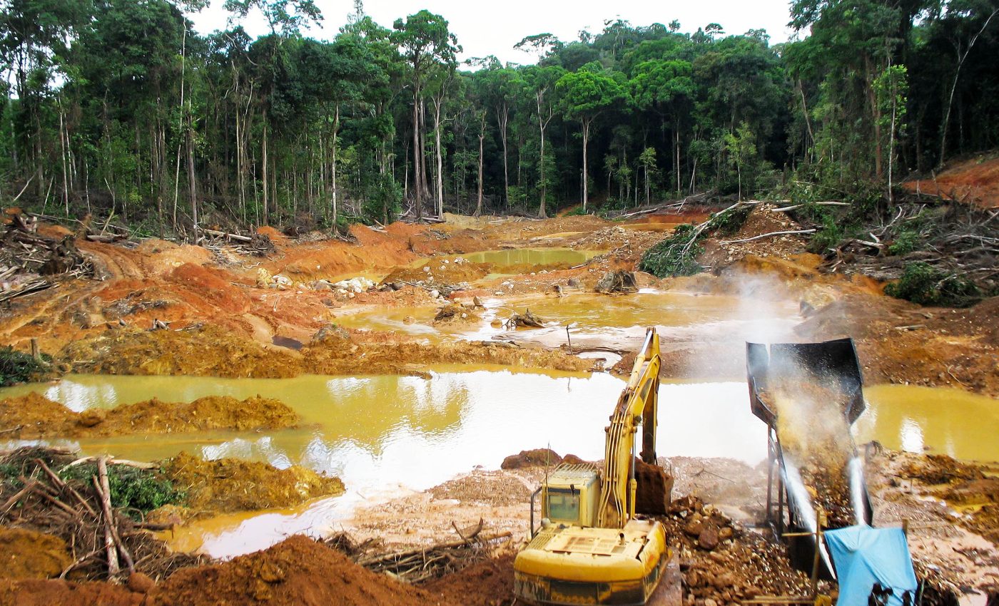 Ticking 'carbon time bomb' has been unleashed in the Amazon rainforest by gold miners