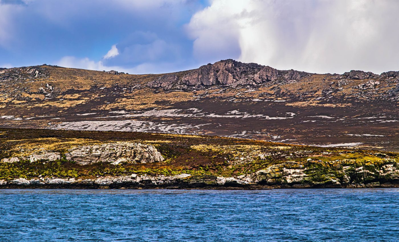 Scientists accidentally discover that a treeless island was once a tropical rainforest