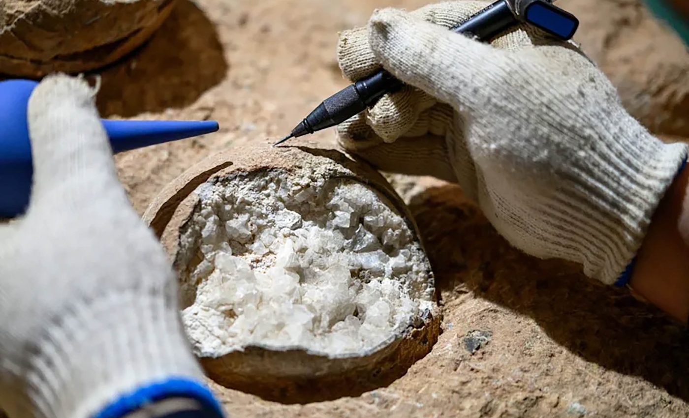 These dinosaur eggs tell an incredible story from 85 million years ago