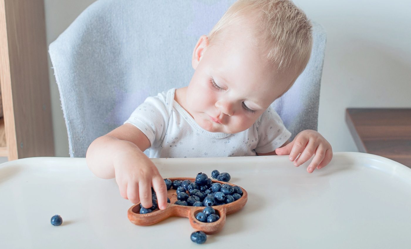 Feeding blueberries to babies is a great idea for many reasons, according to a new study