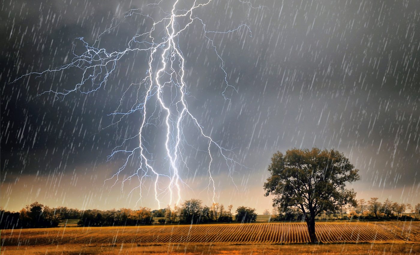 Lightning will ignite even more wildfires as the climate heats up