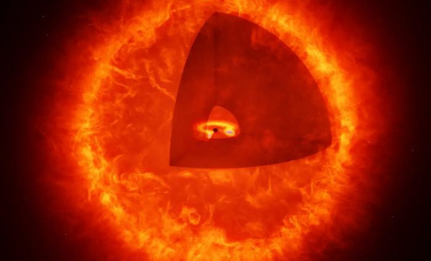 Mystery objects in the early universe may be black hole stars