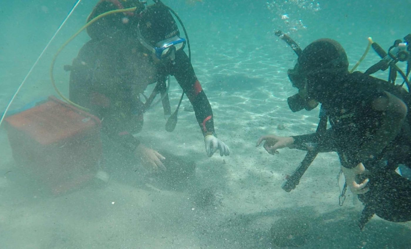 Amateur diver finds 50,000 coins from the 4th century hidden under the sand