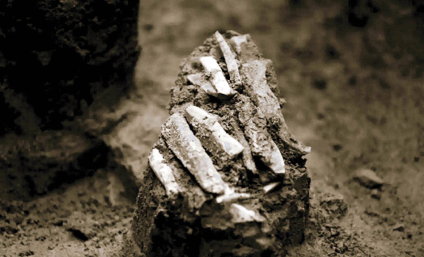 Ancient stone toolkit reveals the lifestyle of Paleolithic hunters