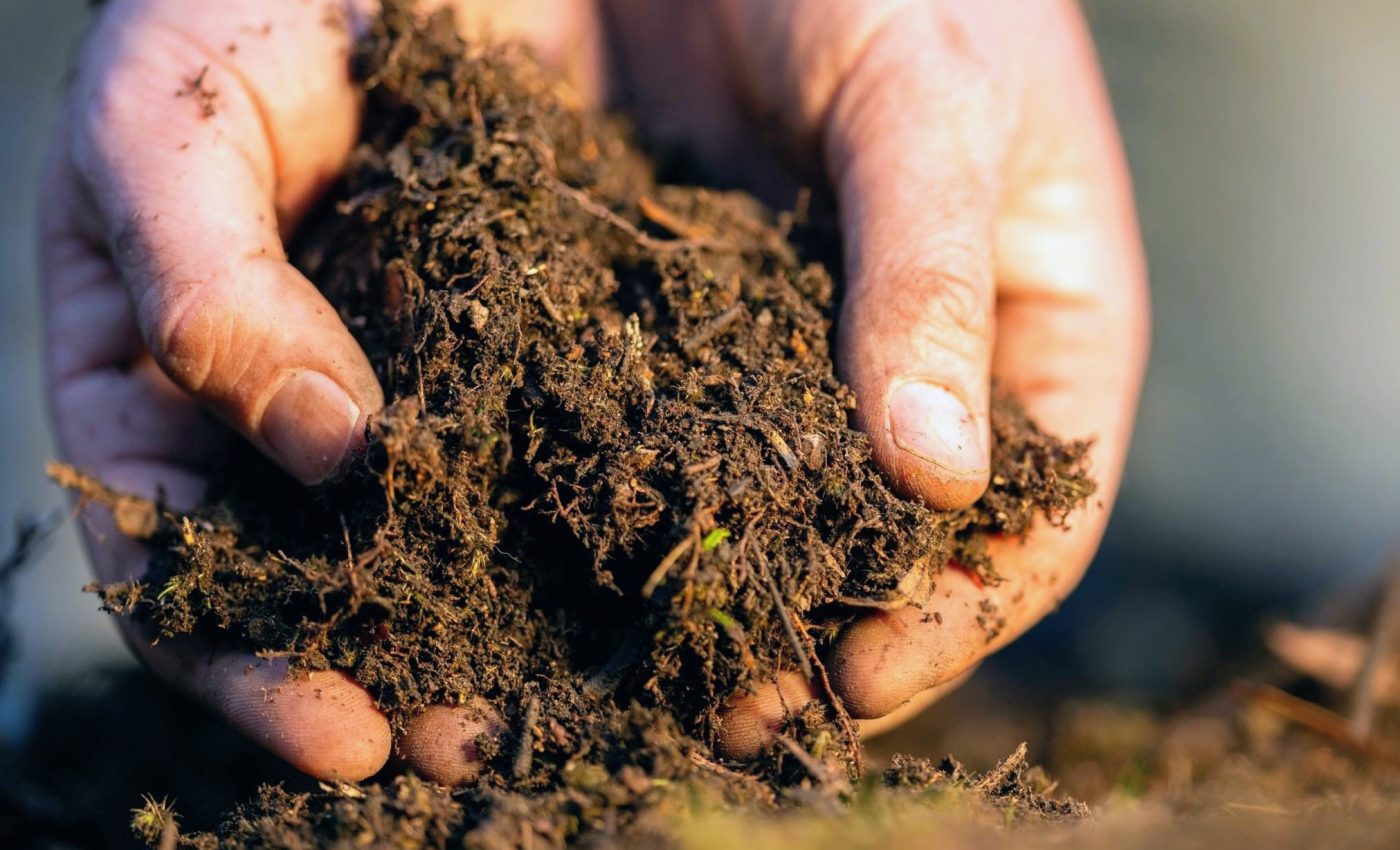 Hungry microbes stop warming soils from releasing extra carbon