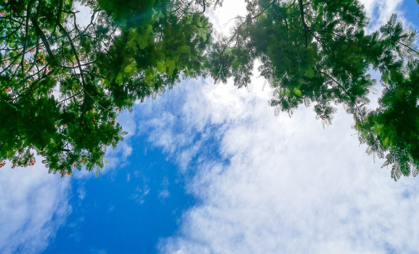 Hydrogen in Earth's atmosphere is rising, making climate change worse