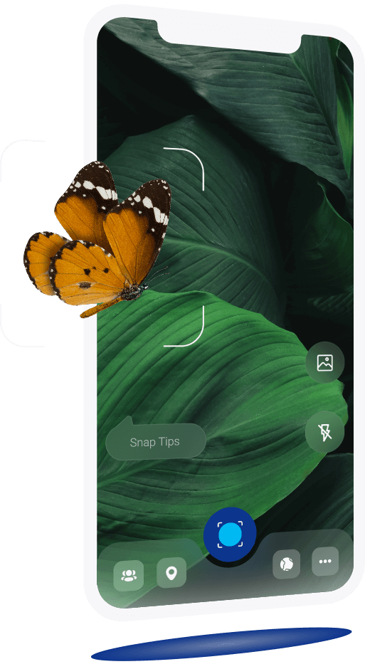 identify phone